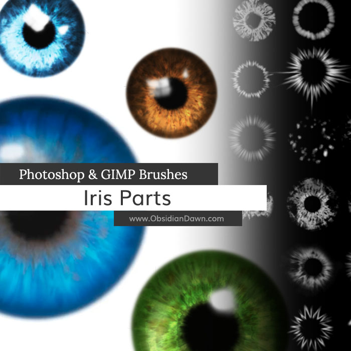 Iris Parts (Eyes) Photoshop and GIMP Brushes