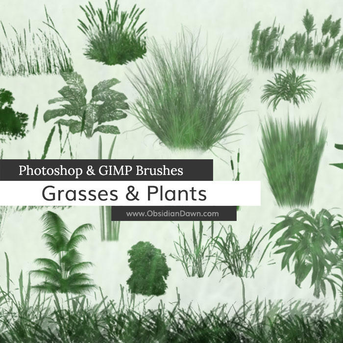 plants photoshop and gimp brushes
