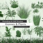 Grasses and Plants Photoshop and GIMP Brushes