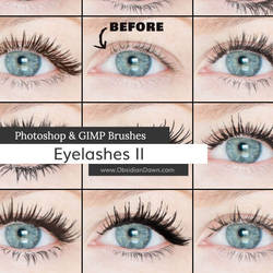Eyelashes II Photoshop and GIMP Brushes