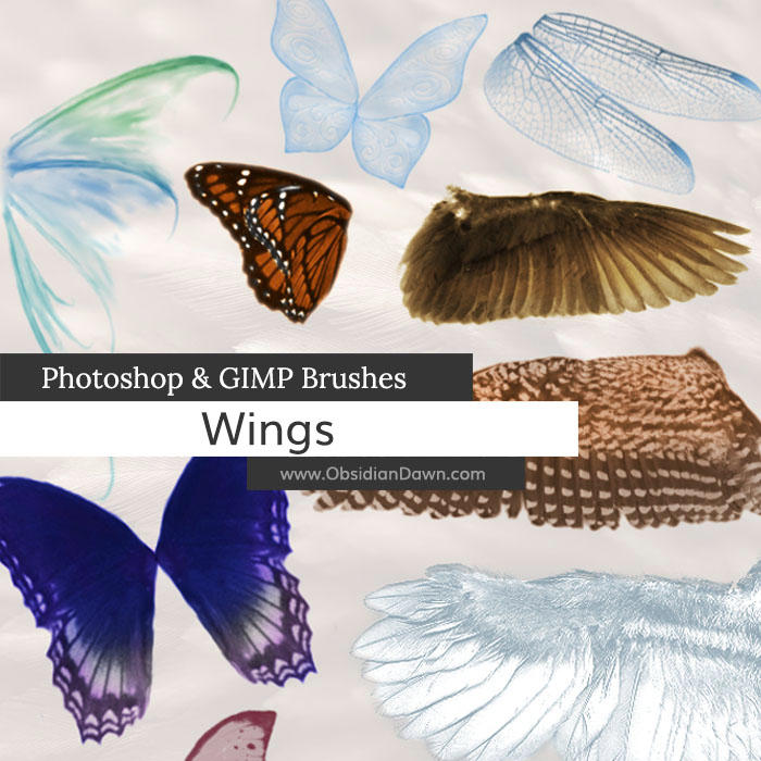 Wings Photoshop and GIMP Brushes by redheadstock on DeviantArt