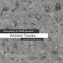 Animal Tracks Photoshop and GIMP Brushes