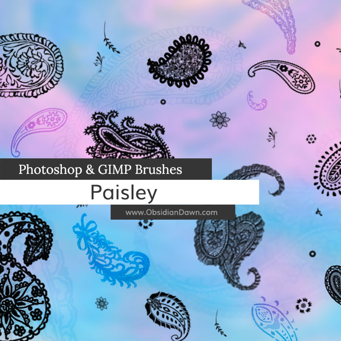Paisley Photoshop and GIMP Brushes