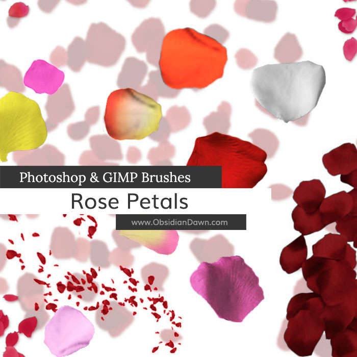 Rose Petal Photoshop and GIMP Brushes