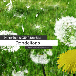 Dandelions and Seeds Photoshop and GIMP Brushes