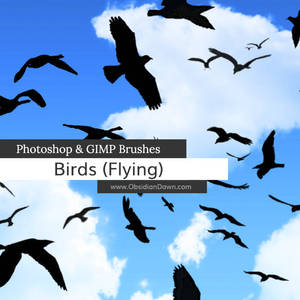 Birds Flying Photoshop and GIMP Brushes
