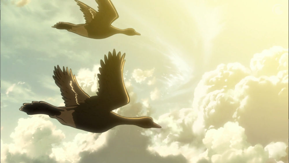 Levi x Reader Birds by Ghostigoo on DeviantArt