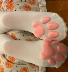 cute kitty paws