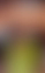 you think the shirt was tight?