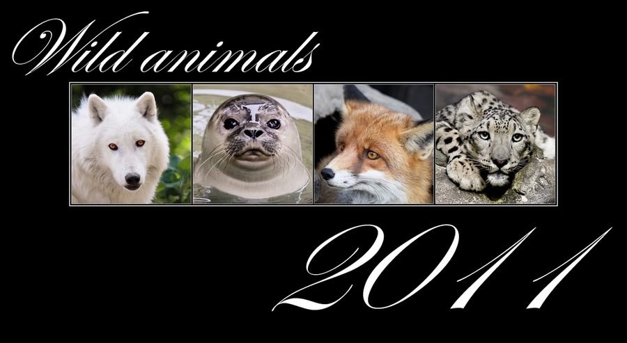 Animals calendar 2011 FOR FREE