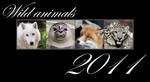 Animals calendar 2011 FOR FREE by woxys