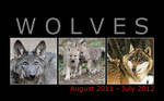 Wolf calendar 2011-12 FOR FREE by woxys