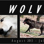 WOLF calendar 2013 - 2014 ----- FOR FREE!!!!!
