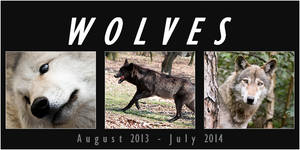 WOLF calendar 2013 - 2014 ----- FOR FREE!!!!!