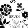Brush_Flower_Kastoua