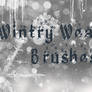 Wintry Weather Brushes