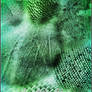 UNRESTRICTED - Reptile Skins Brushes