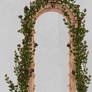 UNRESTRICTED - Garden Rose Arbor