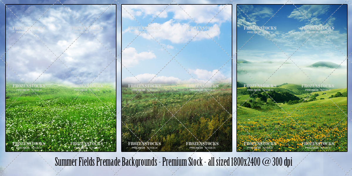 Summer Fields Premade Backs Premium