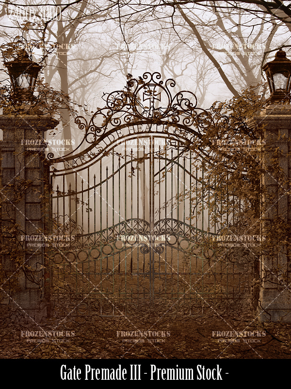 Gate Premade III  Premium