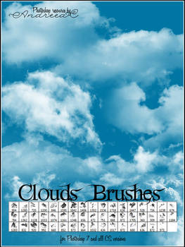 UNRESTRICTED - Clouds Brushes