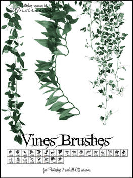 UNRESTRICTED - Leaves Vines Brushes