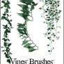 UNRESTRICTED - Leaves Vines Brushes