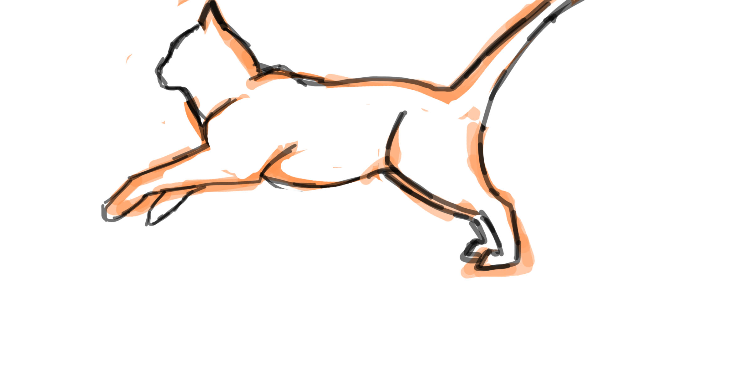 Cat Running-First Animation Try