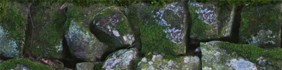 Mossy Stone Wall