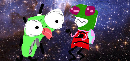 INVadARe Zim