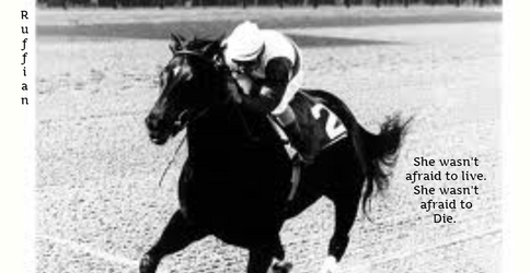 A Tribute To Ruffian