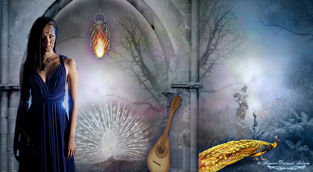 Peacock Garden--Flash Animation