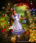 Alice's magical world