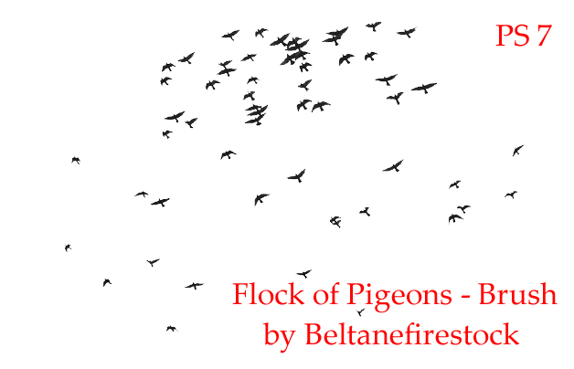 Flock of Pigeons Brush for PS7