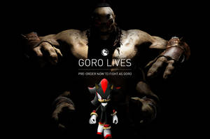 Shadow vs Goro