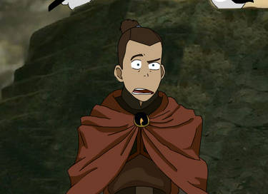 Sokka - Enemy Birds