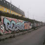 Foggy Morning (09.17.2025)