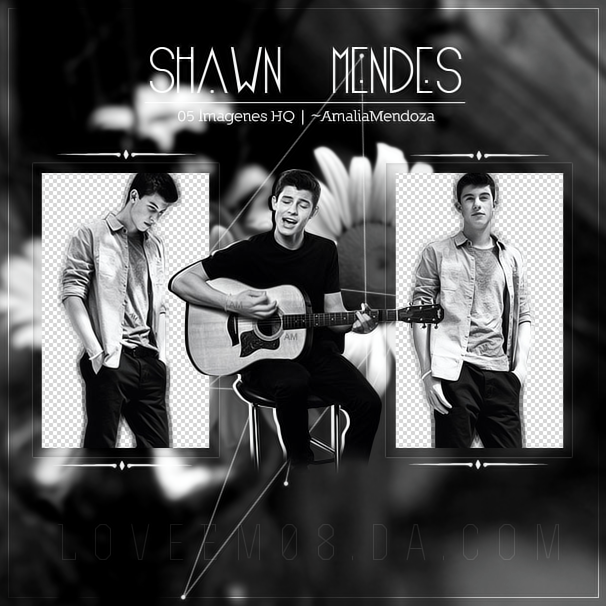 SHAWN MENDES PNG Pack #1