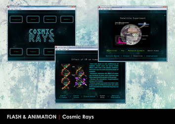 Cosmic Rays