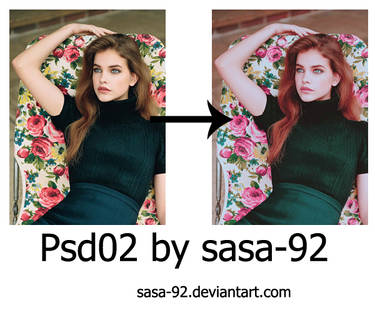 PSD02