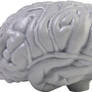 Brain 10