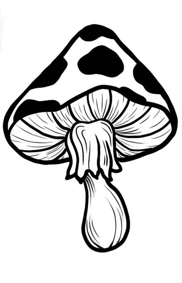 Mushroom 2