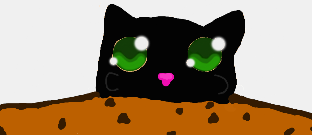 Kitty Like Cookie