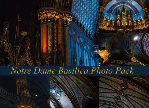 Notre Dame Basilica Photo Pack