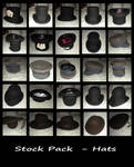 Stock Pack - Hats