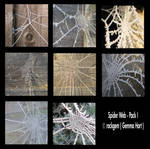 Stock Pack - Spiderwebs I by rockgem