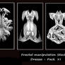 Fractal Stock - Dress Pack XI