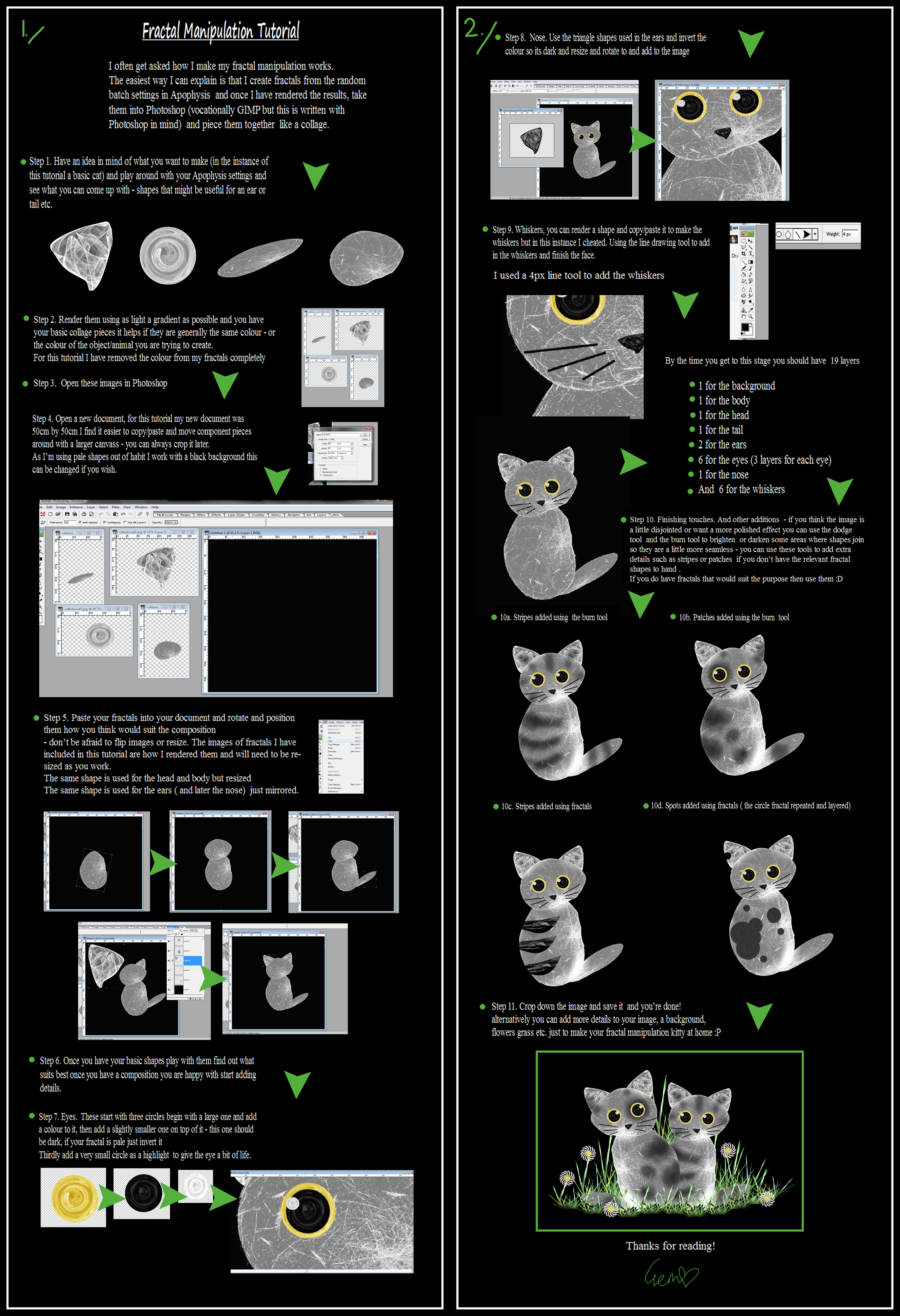 Fractal Manipulation Tutorial for Photoshop - Cat