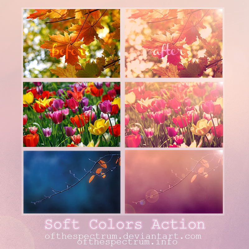 Soft Colors Action