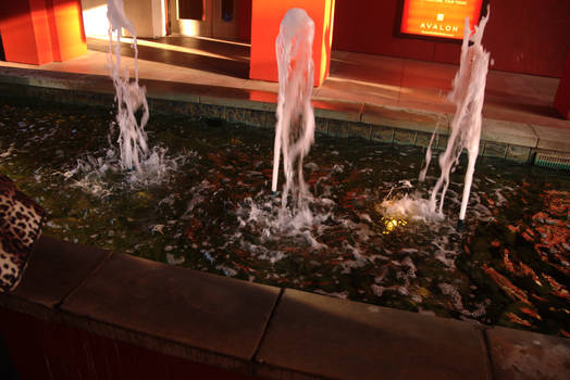 Fountain at Memorial Park Station